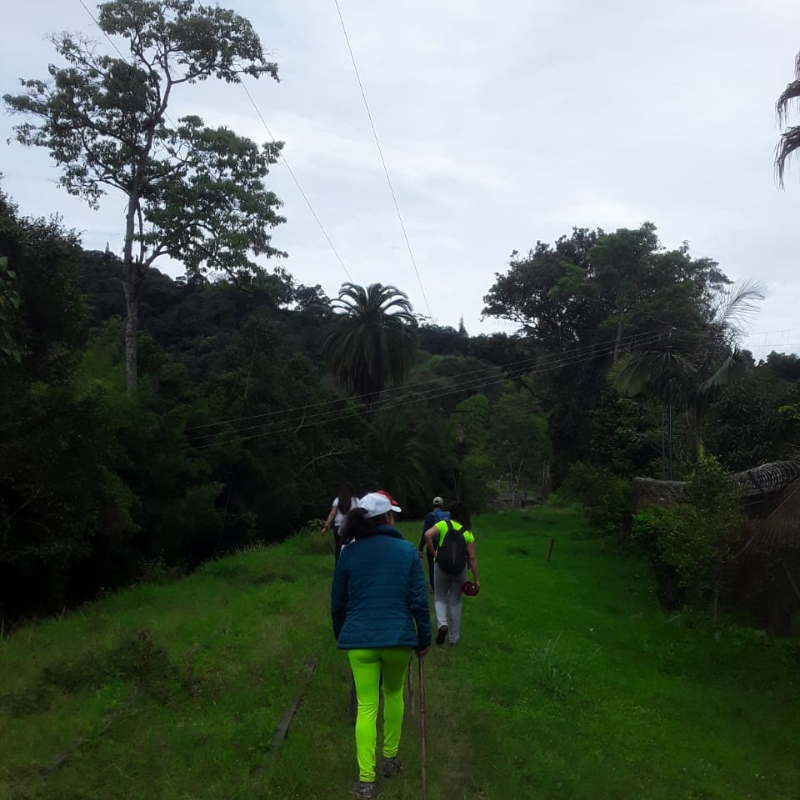 Rumbo a la diversión 5