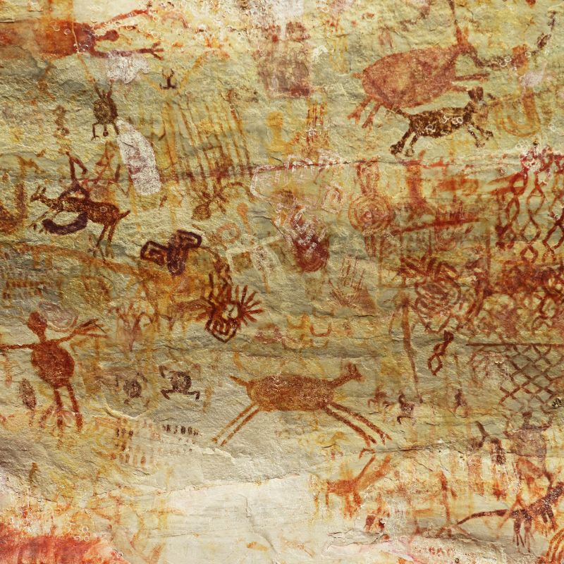 Aventura en el Guaviare 2