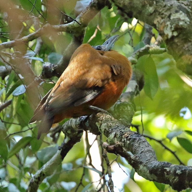 Aventura en el Guaviare 4