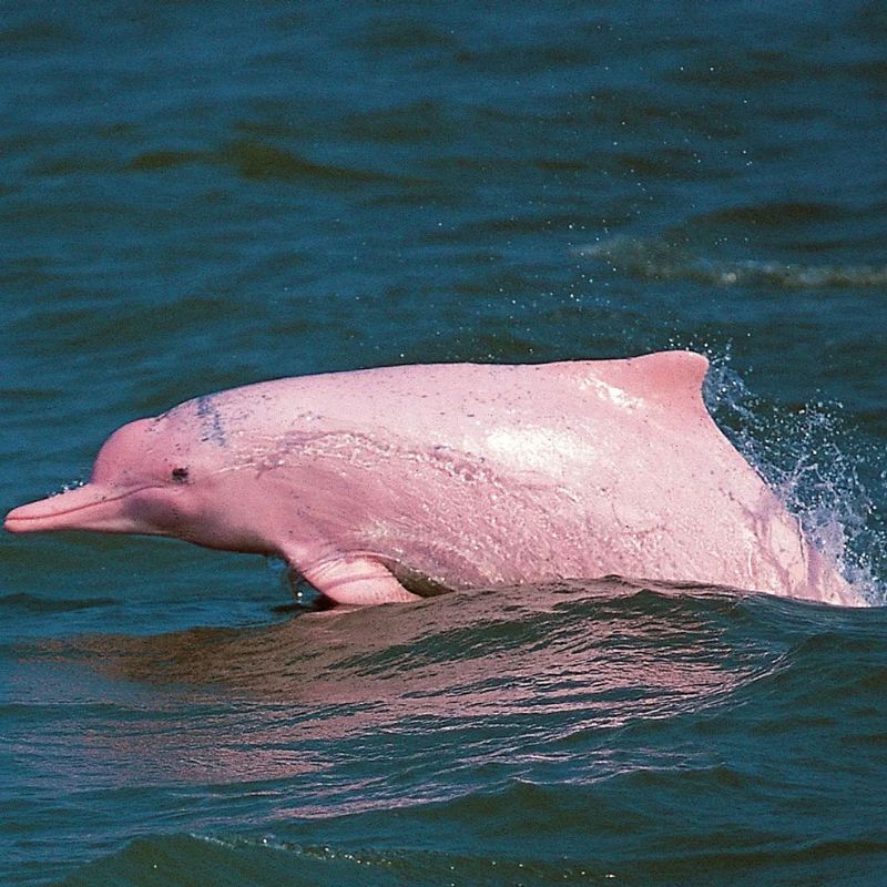 Aventura en el Guaviare 9