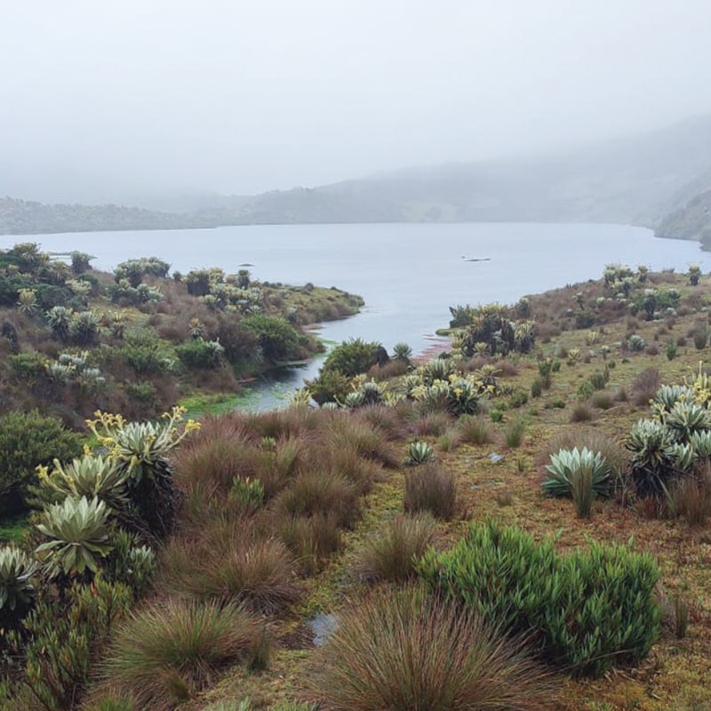 caminata-pan-de-azucar