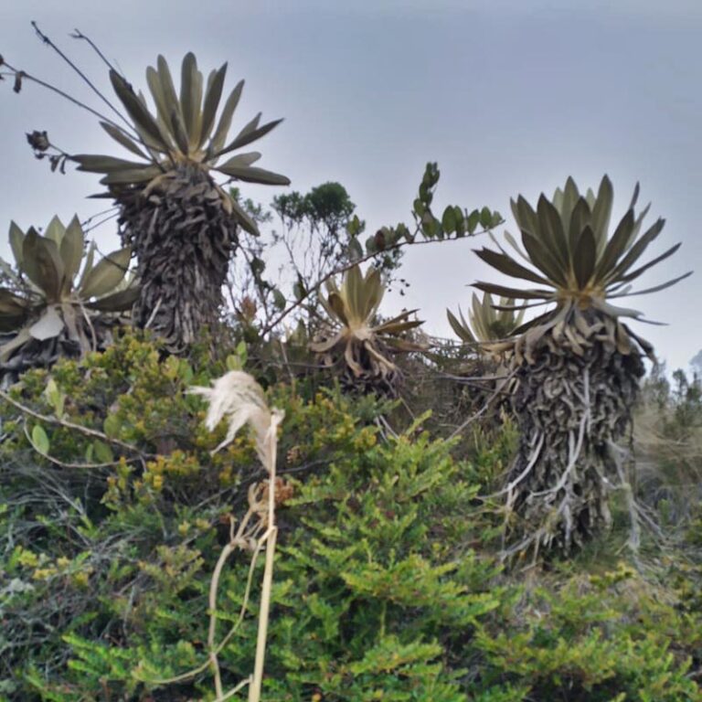 caminata-al-cerro-el-tablazo-10