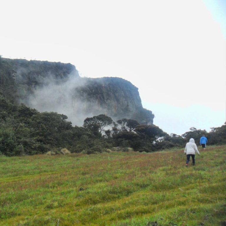 caminata-al-cerro-el-tablazo-2