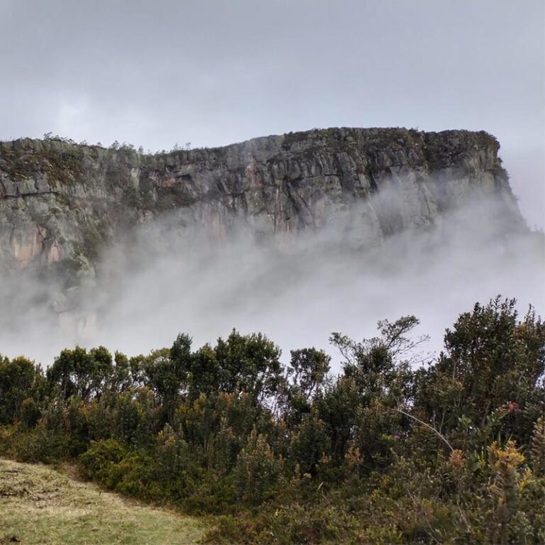 caminata-al-cerro-el-tablazo-producto-800x800