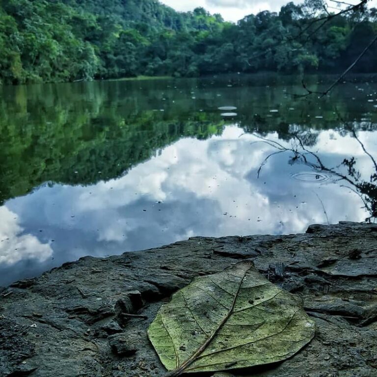 jardin-encantado-y-laguna-el-tabacal-1