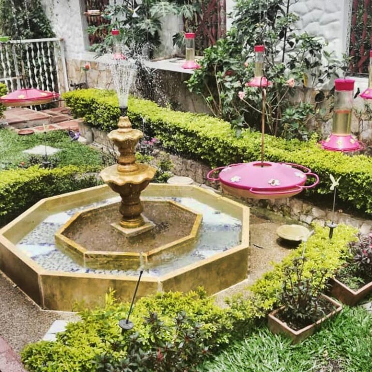 jardin-encantado-y-laguna-el-tabacal-10