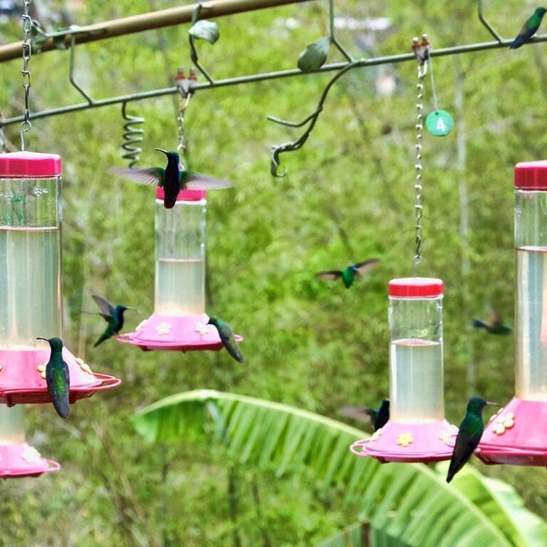 jardin-encantado-y-laguna-el-tabacal-11