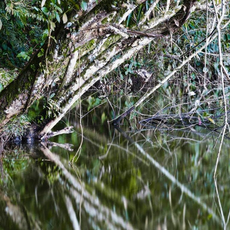 jardin-encantado-y-laguna-el-tabacal-3