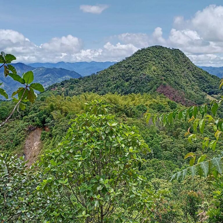 jardin-encantado-y-laguna-el-tabacal-6