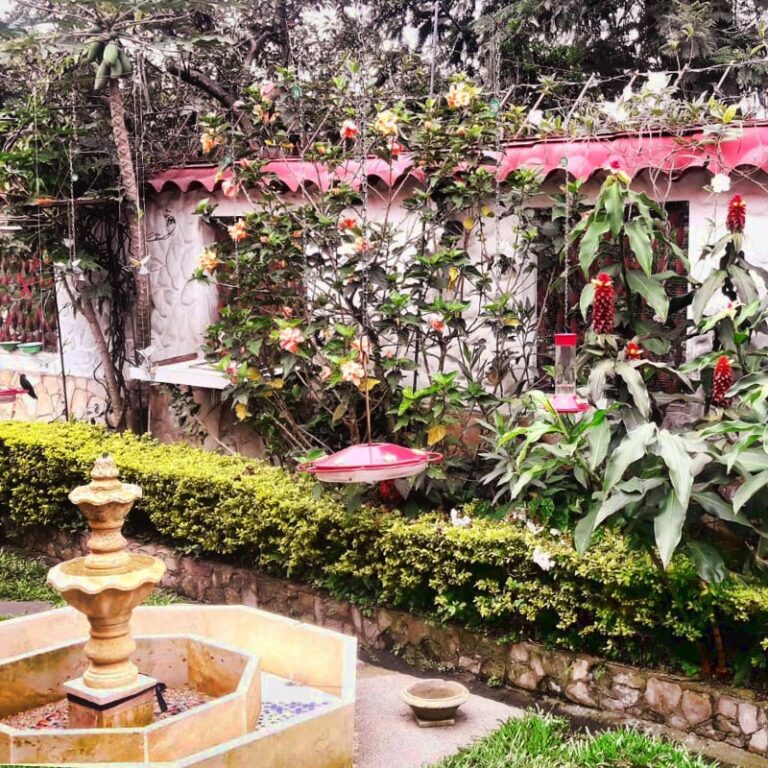 jardin-encantado-y-laguna-el-tabacal-9