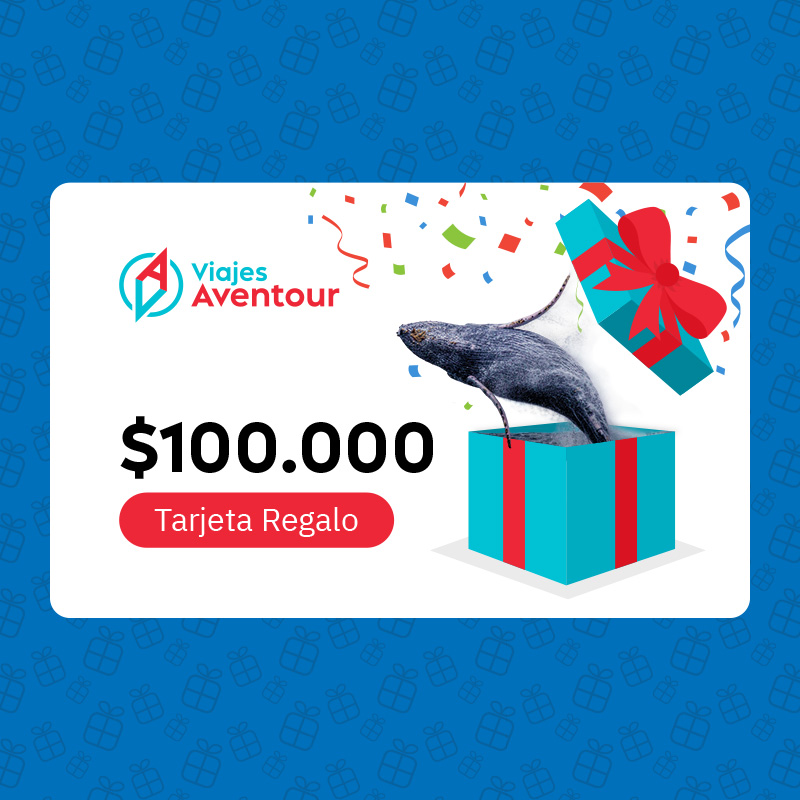 tarjeta-regalo-100-producto-800x800