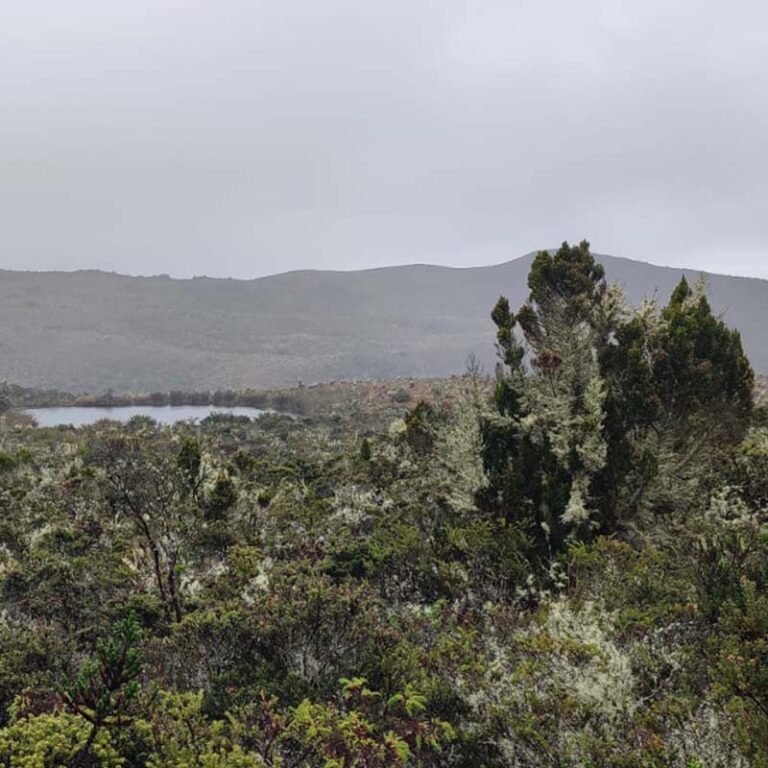 caminata-al-cerro-pan-de-azucar-1