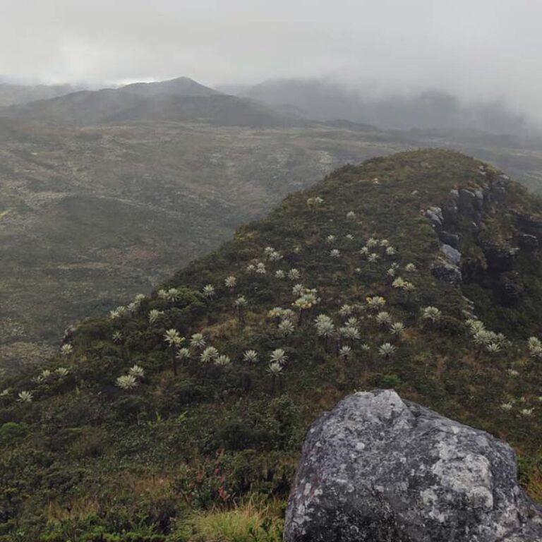 caminata-al-cerro-pan-de-azucar-10