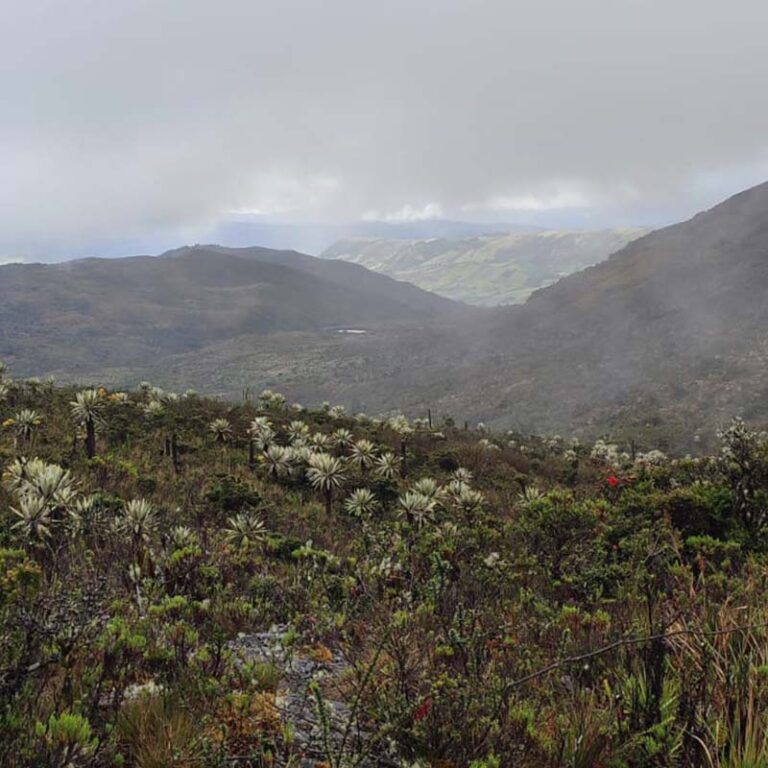 caminata-al-cerro-pan-de-azucar-6