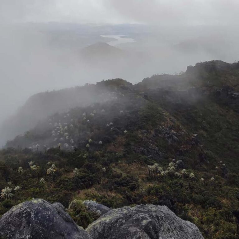 caminata-al-cerro-pan-de-azucar-9