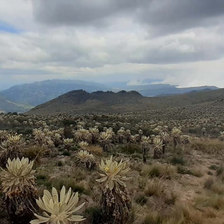 trekking-a-la-laguna-verde-14