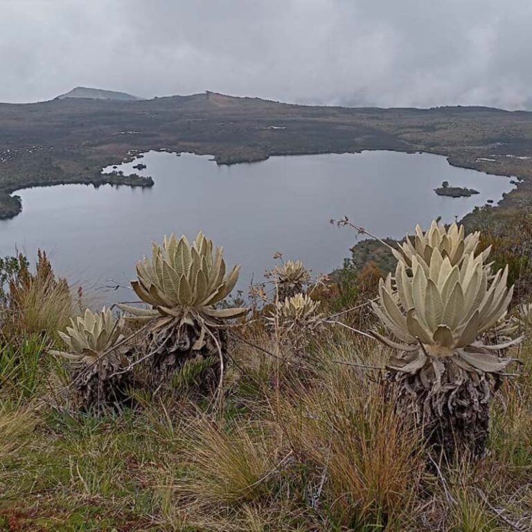trekking-a-la-laguna-verde-3