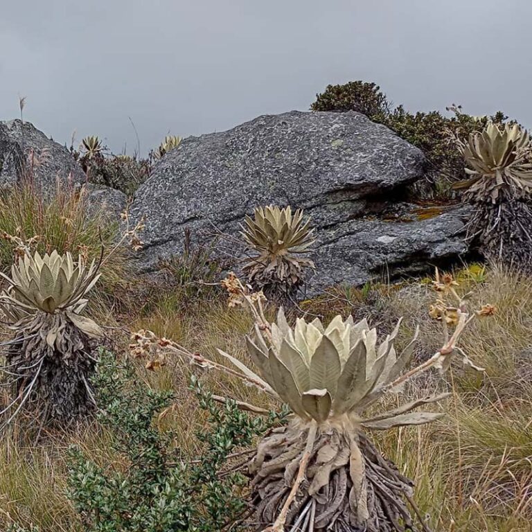 trekking-a-la-laguna-verde-4