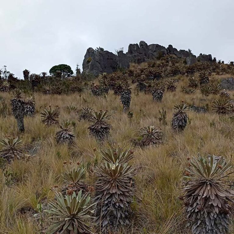 trekking-a-la-laguna-verde-5