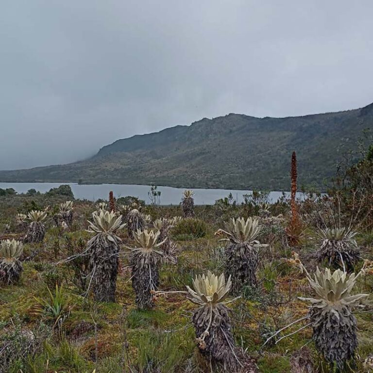 trekking-a-la-laguna-verde-6