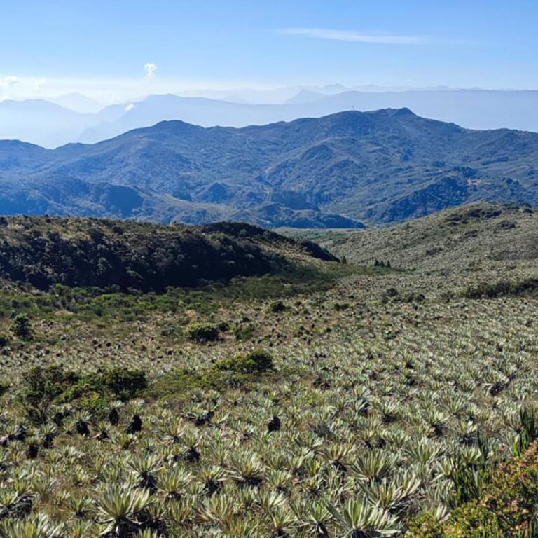 Caminata de Peregrinación en Ubaque