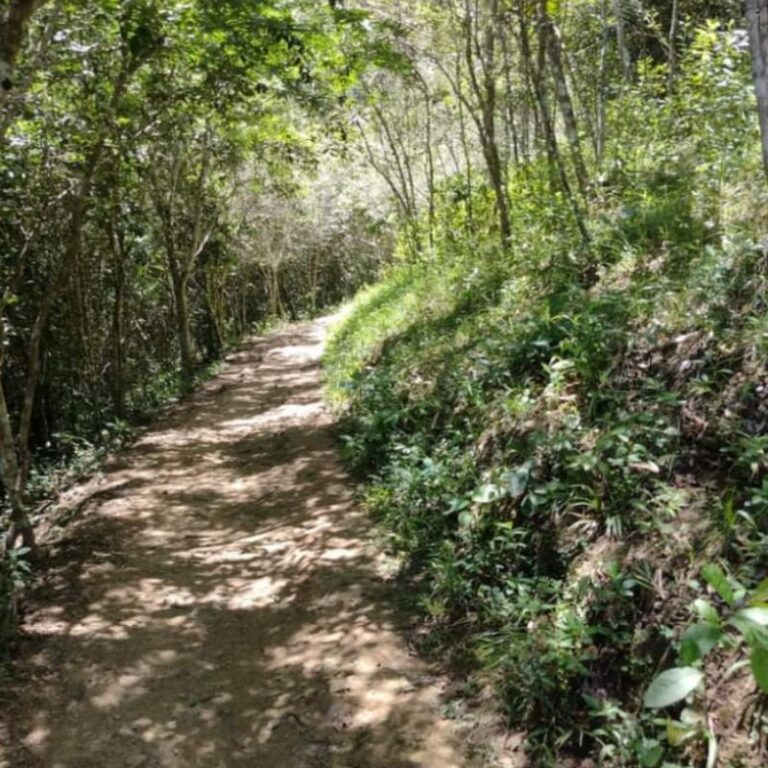 caminata-a-las-5-maravillas-del-tolima-3