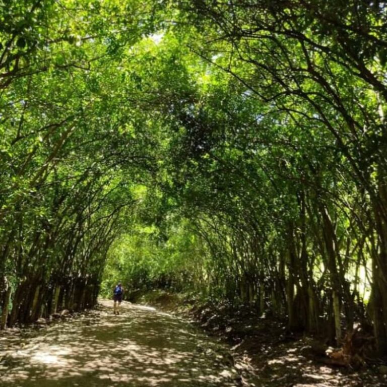 caminata-a-las-5-maravillas-del-tolima-6