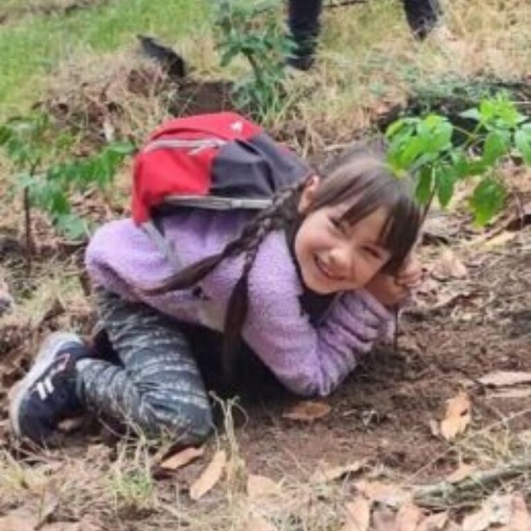 sembraton-de-arboles