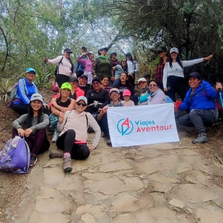 sembraton-de-arboles