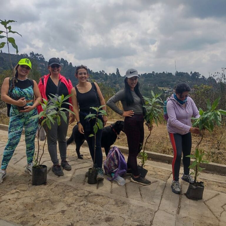 sembraton-de-arboles