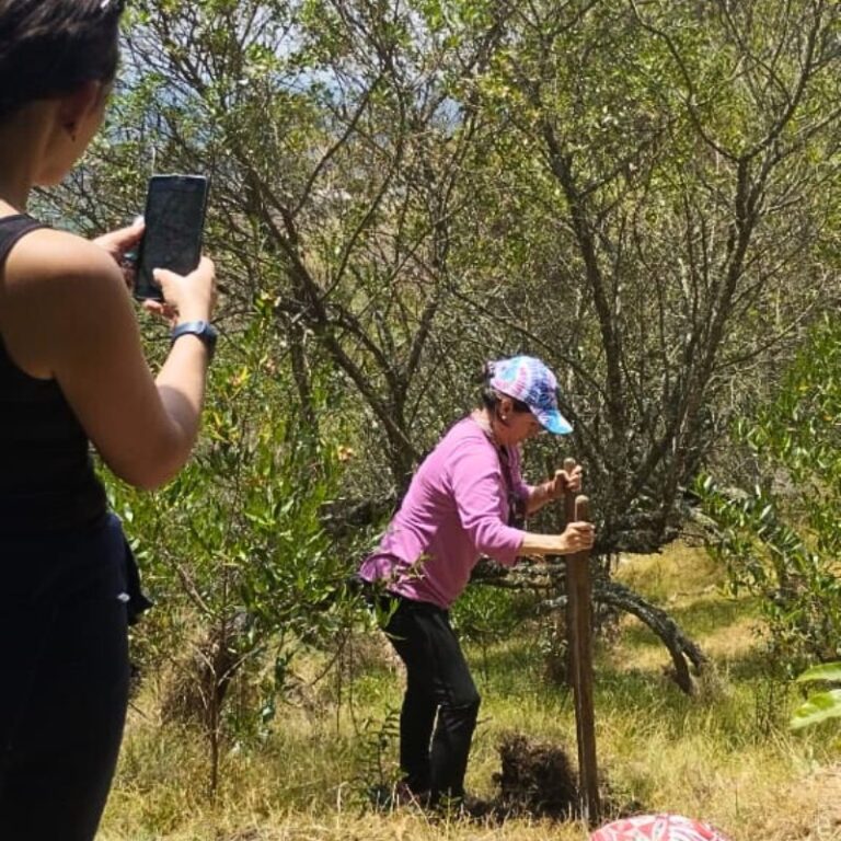 sembraton-de-arboles