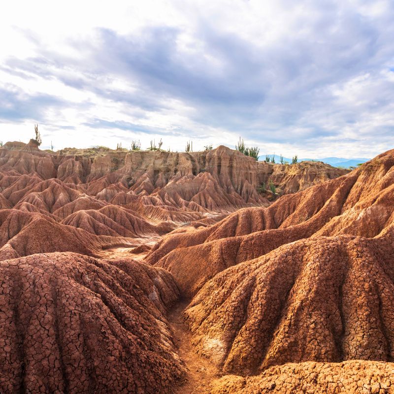 pasadia-en-el-desierto