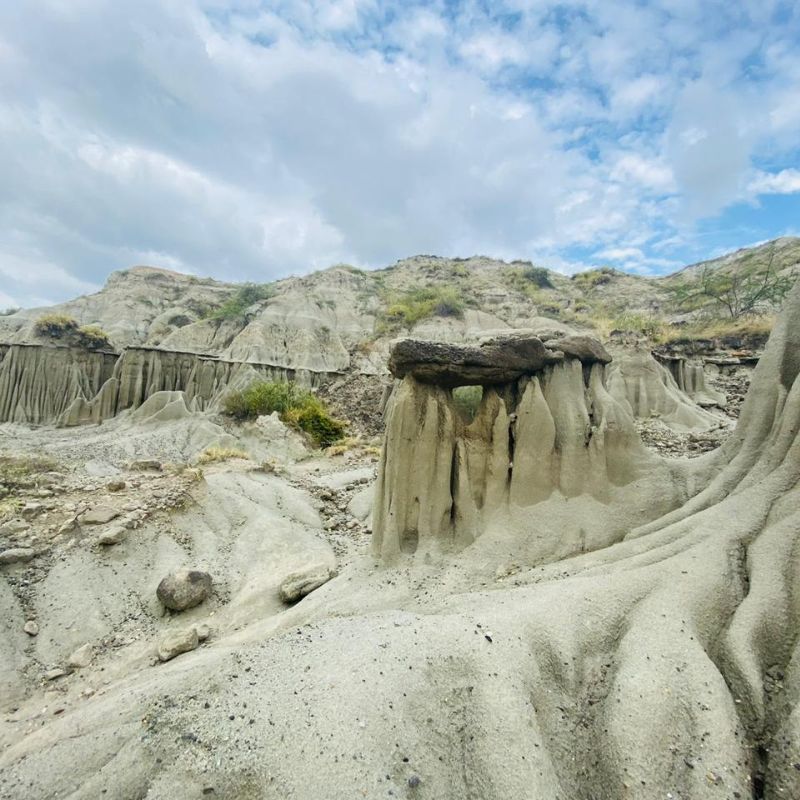 pasadia-en-el-desierto-gris