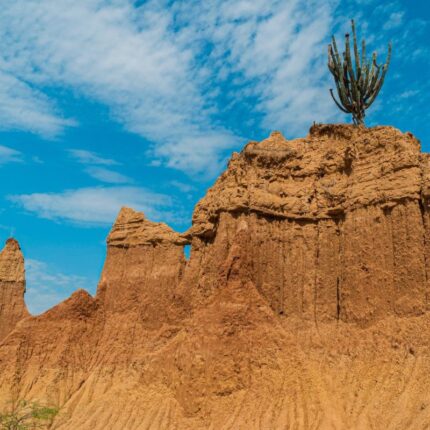 pasadia-en-el-desierto-rojo-1
