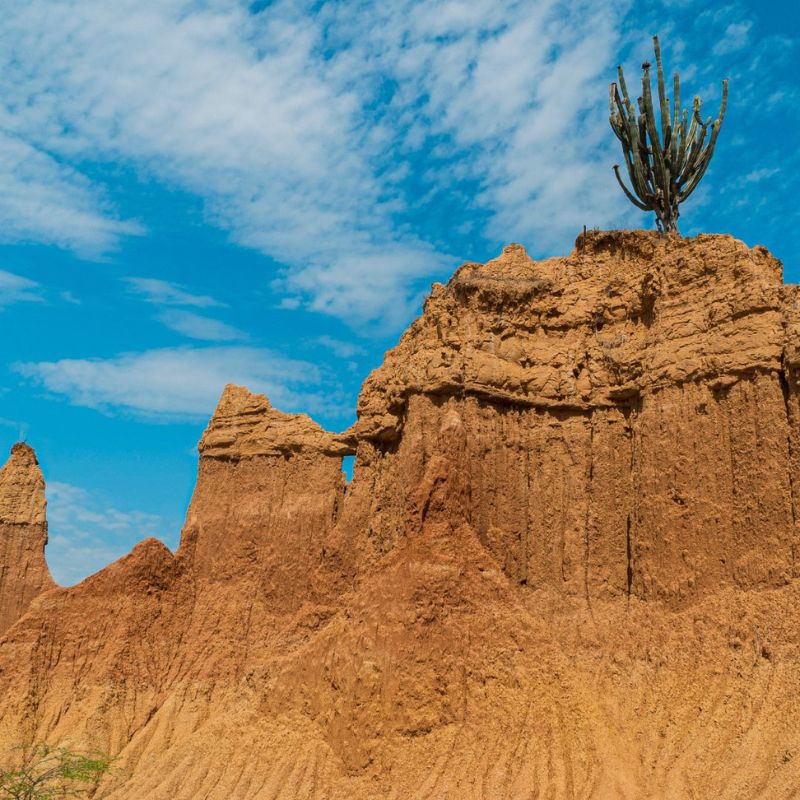 pasadia-en-el-desierto-rojo-1