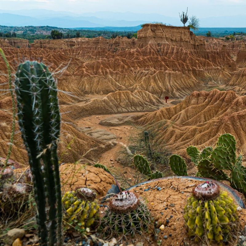 pasadia-en-el-desierto-rojo-2