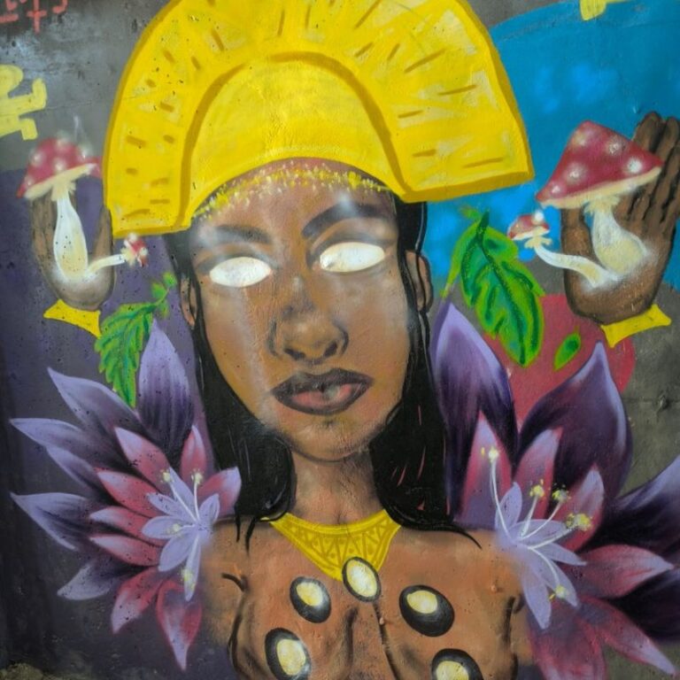 parque-ecologico-soratama-1
