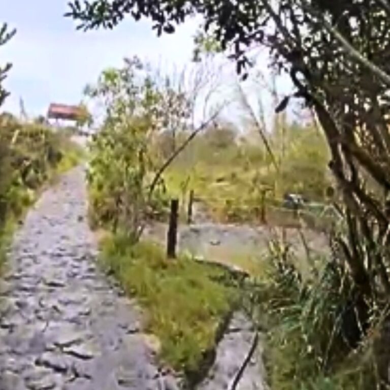 caminata-soratama