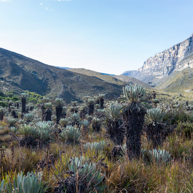 tour-al-parque-nevado-del-cocuy-7