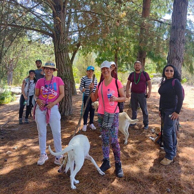 caminata-con-perros-a-peñas-blancas