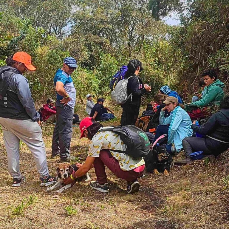 caminata-con-mascota