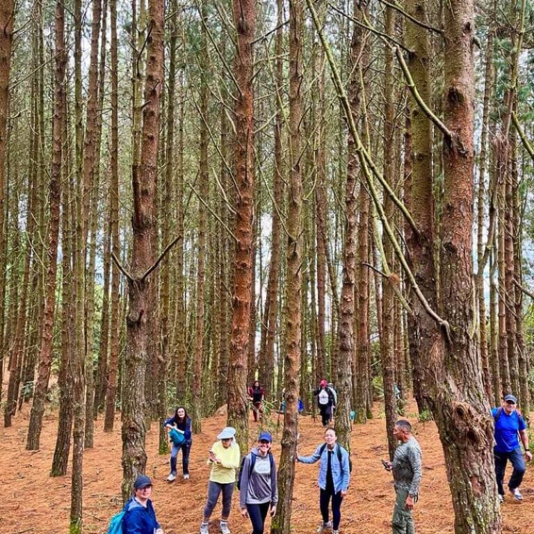 caminata-camino-del-indio-camina-con-tu-mascota