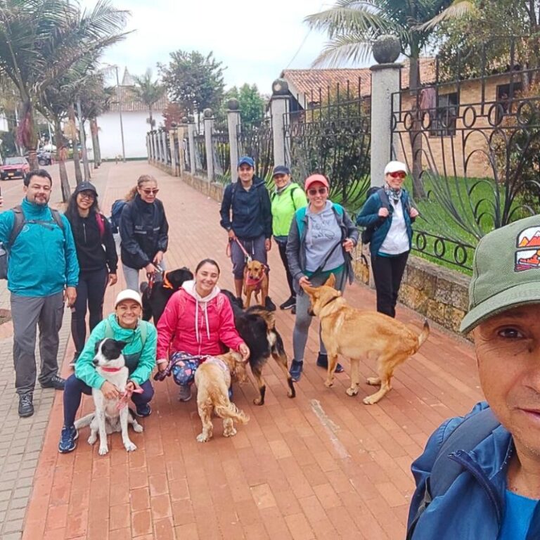 cueva-del-indio-pet-friendly
