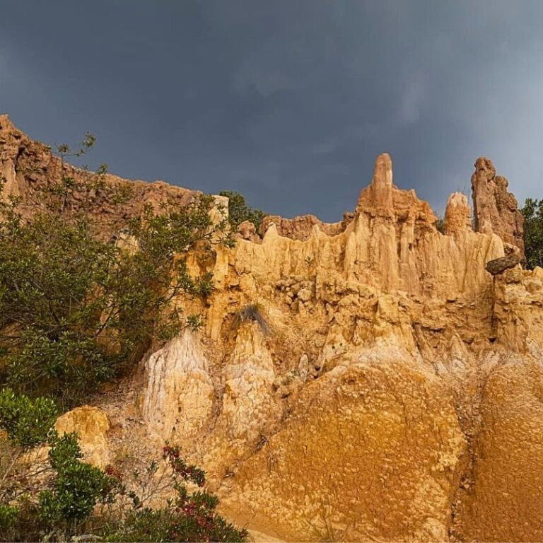 desierto-de-la-tatacoita-pet-friendly