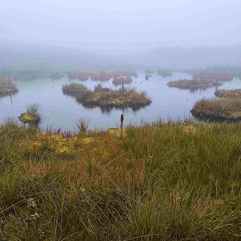 Camino del Indio 3 (3)