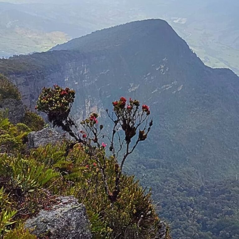 Cerro Tunjaque 2
