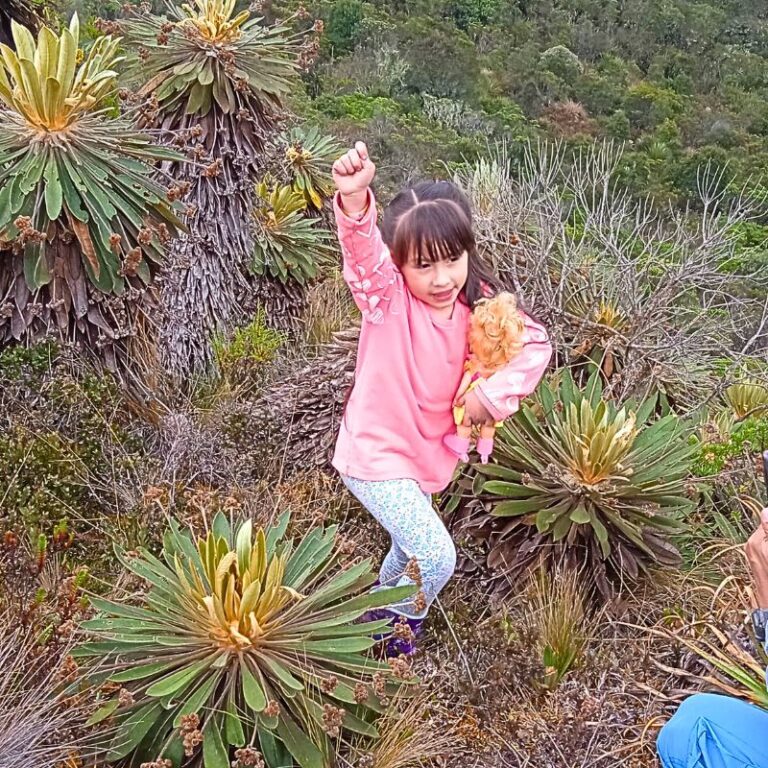 páramo-de-guacheneque'