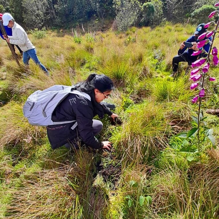 siembra-de-árbol-en-guacheneque