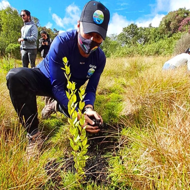 páramo-de-guacheneque-8
