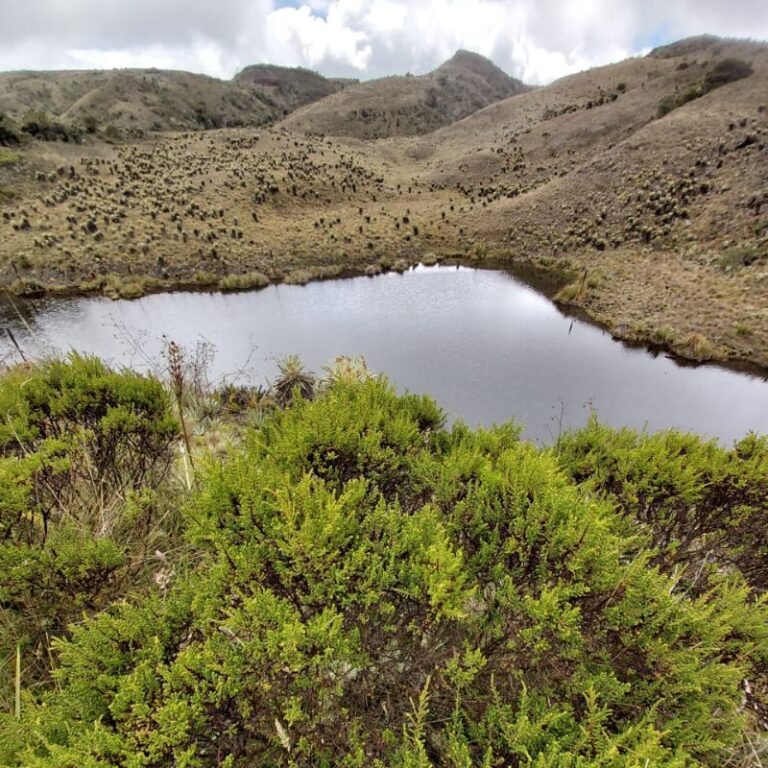 páramo-de-guacheneque-7